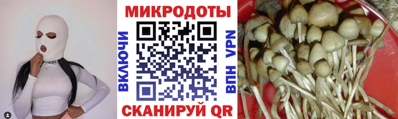купить наркотики сайты  Верхняя Салда  Псилоцибиновые грибы Psilocybe 